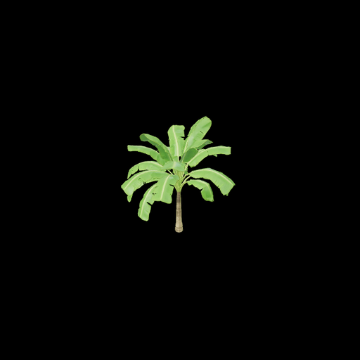 Banana Leaf Palm Tree